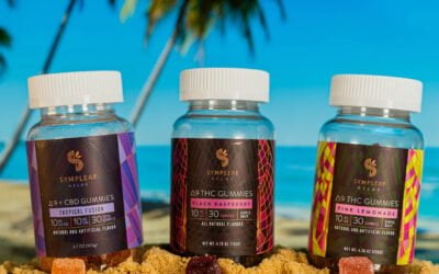 All you need to know about Umbrella Branding!