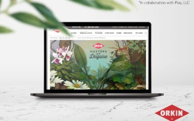 Why Use Umbrella Branding?